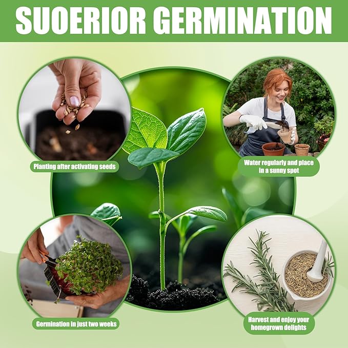 10 Herb Window Garden Kit Indoor - Herb Seeds for Indoor & Outdoor Gardening, Seeds for Planting, Gardening Gift for Kid Mother's Day Women, Complete Herb Growing Kit with Pots, Soil, Basil, Mint