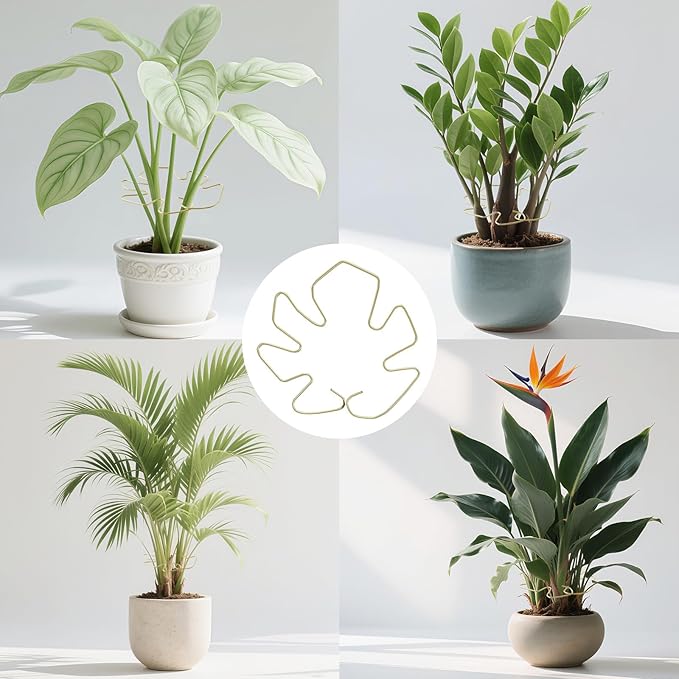 5pcs Plant Stem Support, Support Frame For Outdoor & Indoor Plant Growth Stereotypes-Medium