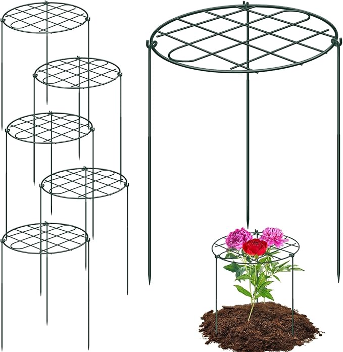 6 Pack 16 x 24 Inch Peony Cages and Supports Grow Through Plant Grid Support,Metal Plant Brace Support Peony Rings Hoops for Outdoor Plants Vegetables,Rose,Tomato,Orchids