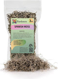 Gardenera Premium Natural Spanish Moss | Natural Preserved - Great Ground Cover - Filler for Potted Plants - 3 Quart Bag