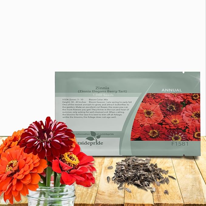Outsidepride Berry Tart Zinnia Seeds - 2000 Pcs Annual, Heat & Drought Tolerant Flower Seeds for Planting w/Vibrant Blooms for Pollinator Gardens & Floral Arrangements