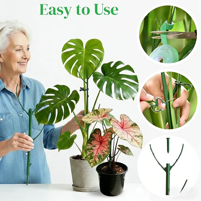 6 Pack Stackable Plant Stakes, Monstera Plant Support, Climbing Plant Stakes for Indoor & Outdoor Potted Plants, Branch-Like Shape Stem Accessories (6 Pack)