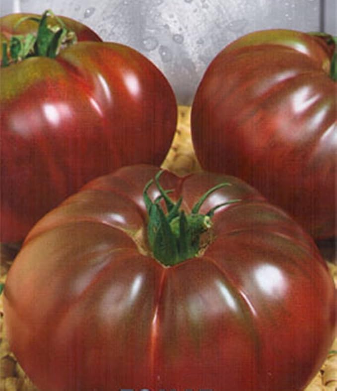 Seeds Vegetable Tomato Black Prince - 50 Seeds