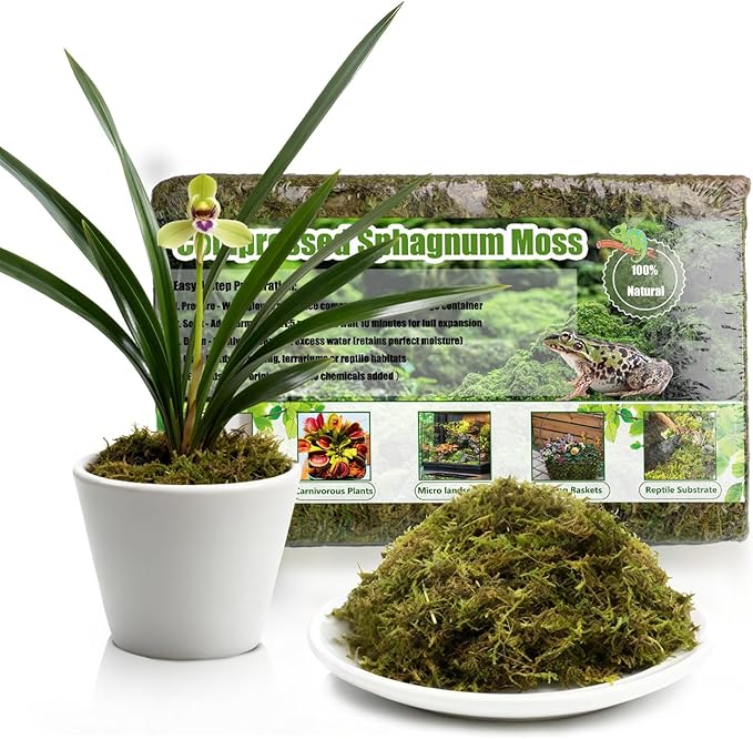 Compressed Sphagnum Moss for Plants & Reptiles (3pc)– Dried Peat Moss, Moisture-Retentive for Indoor Plants, Orchids, Terrariums, Reptile Bedding (100% Natural, Reptile-Safe