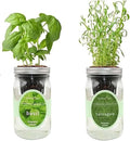 2-Pack Hydroponic Mason Jar Herb Garden Kit, Indoor Herb Garden Self-Watering Starter Kit (Basil,Tarragon)