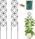 24Inch Outdoor Plant Trellis for Climbing Plants,Metal Garden Trellis for Potted Plants,Plant Stakes for Indoor Plants Accessories Hoya,Flower,Plant Support,Plant Gifts (24IN-Coin)