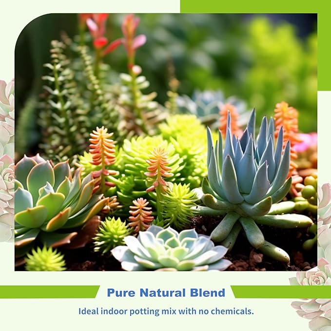 Succulent and Cactus Soil Potting Mix 10qt-Premium Breathable & Fast Draining for Healthy Plants