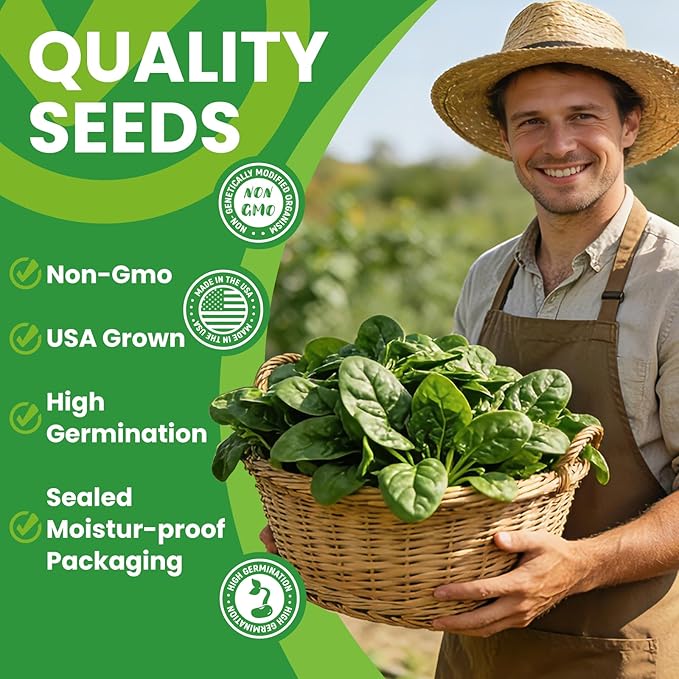 Bloomsdale Spinach Seeds for Planting 960+ Seeds - Non-GMO Heirloom Seeds High Germination Spinach for Indoor Outdoor Home Vegetable Garden - Abundance of Leafy Greens
