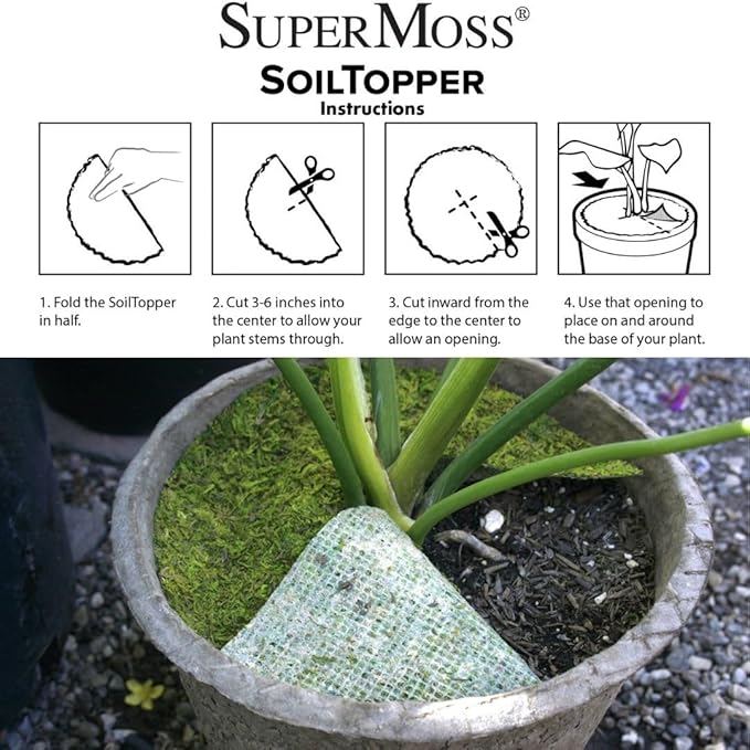 SuperMoss (26315) Moss Soil Toppers (Place Mats), Fresh Green, 12" (3 units)