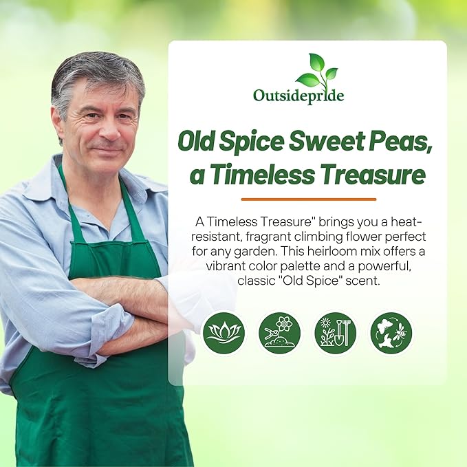 Outsidepride Old Spice Mix Sweet Pea Seeds - 400 Pcs Annual, Easy to Grow, Vine Seeds for Planting Fragrant, Long-Lasting Flowers with Free-Flowering Habit & Tall Size for Vertical Gardens