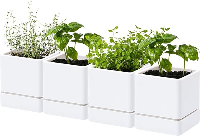 D'vine Dev 4 Inch Herb Planter Pot, Plastic Planter with Drainage Holes and Saucer, Modern Decorative Gardening Pot for Indoor Plants, Flowers, Herbs, Succulents, White, Set of 4, 76-Y-A4-1
