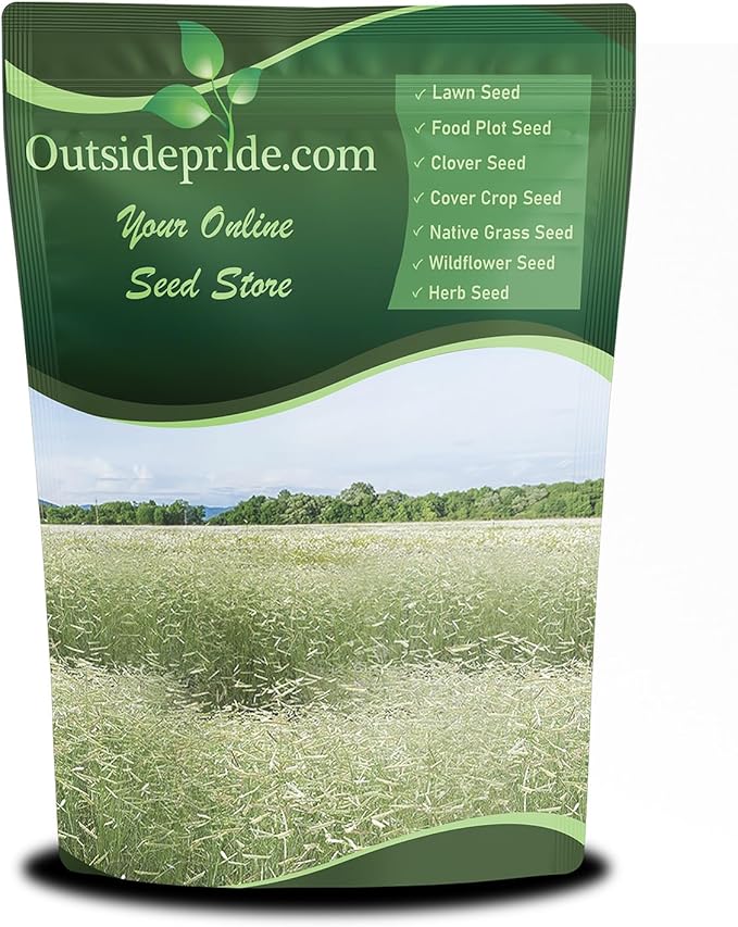 Outsidepride Blue Grama Native Grass Seed - 5 lb. Perennial, Drought Tolerant & Low Maintenance, Pasture Seeds for Planting Densely Tufted Leaves, Ideal for Hay Foraging, Grazing & Erosion Control