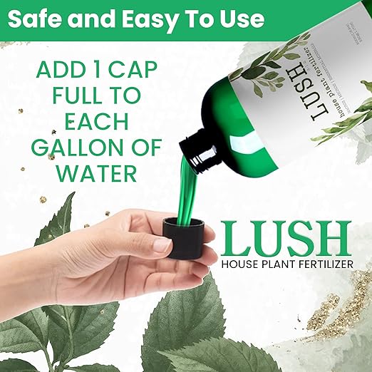 Lush Houseplant Fertilizer – Concentrated Liquid Plant Food (Makes 50+ Gallons) – 3-1-2 NPK for Indoor Plants, Monstera, Pothos & More - 500ml Concentrate