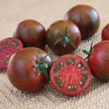 Purple Zebra F1 Hybrid | AAS Winning Tomato | 10 Seed Packet | Disease Resistant | Great Flavor | Perfect for Home Gardening | Easy-to-Grow Tomato | A.P. Whaley Seed Company |