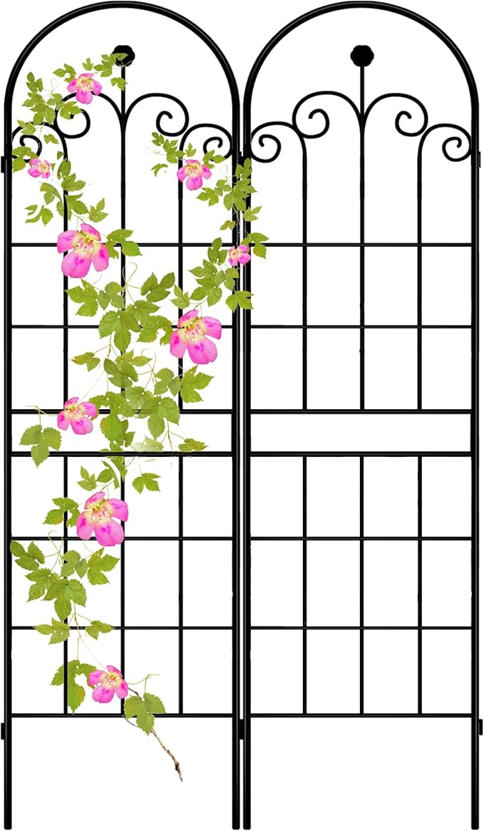 LZRS 2 Pack 71x20in Rustic Iron Arch Decoration Garden Trellis with Black Metal Coating – Perfect for Supporting Climbing Plants Outdoor, Roses, Vines, Flowers, and Vegetables.