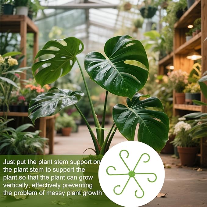 Plant Stem Support, Plant Support for Indoor Plants, 4 Sizes Climbing Houseplant Stem Supports, Plant Support Rings, Leaf Holders, Indoor Plant Stakes Stabilizer Accessories (32, Green)