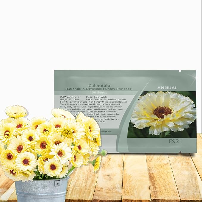 Outsidepride Snow Princess Calendula Seeds - 200 Pcs Annual Edible Flower Seeds for Planting for Dishes & Wellness Uses, with Vibrant Blooms for Cut Flower, Container, & Pollinator Gardens