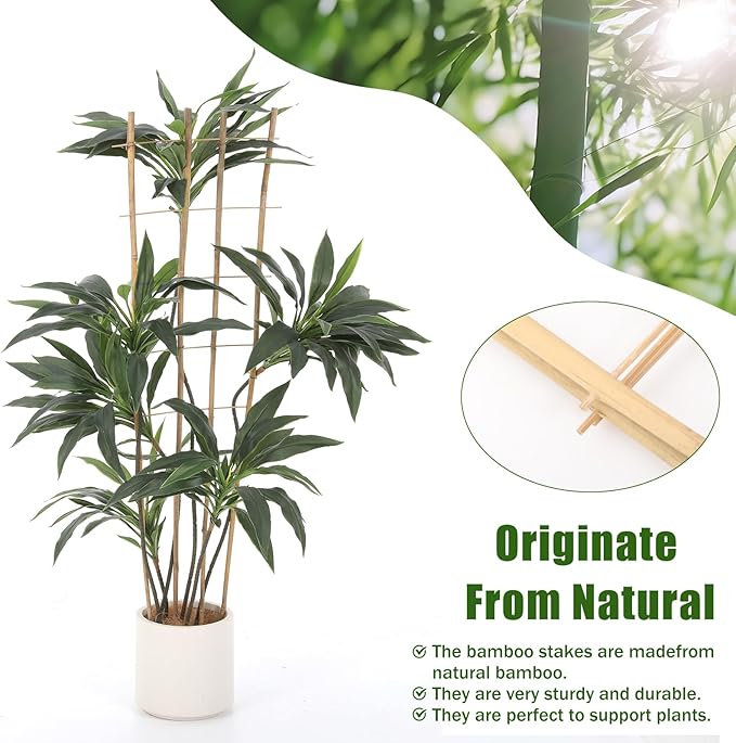 Bamboo Trellis,4.8Ft,3Pack,Climbing PlantsTrellis, Fan-Shaped Trellis,for Outdoor and Indoor Potted Climbing Plants,Vegetables, Cucumber, Tomato, Hoya