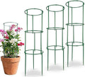 Tomato Cage - Tomato Plant Support,Tomato Trellis Plant Stakes Support, Pots and Garden Climbing Vegetables Plants Flowers,Plant Stakes for Indoor Plants，3pcs
