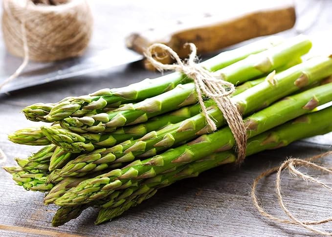 50+ Seeds Mary Washington Asparagus (Sparrow Grass) - Vegetable Green