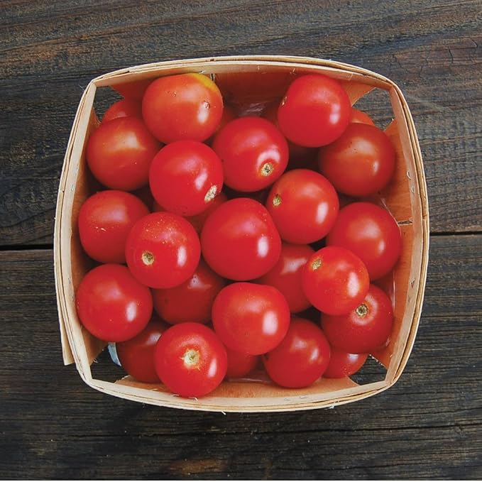 Organic Tomato Seeds, APPR. 75, Sweet Cherry Tomato, Vegetable Seeds, Certified Organic, Non GMO, Non Hybrid, USA