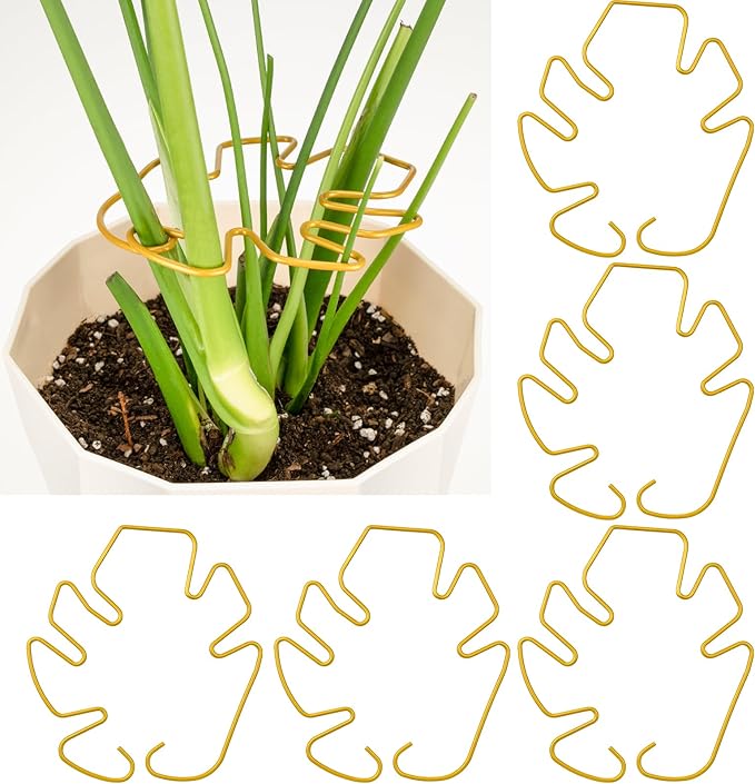 Monstera Plant Support 5 Pack, Plant Supports for Indoor Plants, Metal Plant Stem Holder Large Plant Support Ring for Climbing Plants Stem Stabilizer Moss Pole Growth