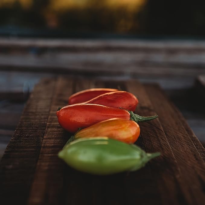 Jilo Comprido Verde Claro Eggplant - 25 Seeds - Brazilian Heirloom Green Eggplant, Non-GMO Heirloom Eggplant Seeds for Planting in The Home Garden, Thresh Seed Company