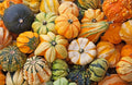 Ornamental Pumpkin Mix Seeds Giant Heirloom Vegetable for Planting Decorative Unique Non GMO 10 Seeds