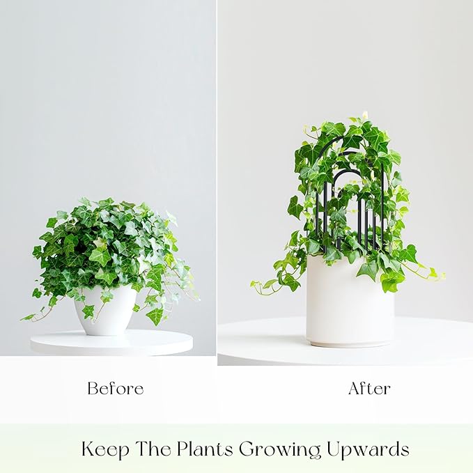 SNAIL GARDEN 8 Pcs Small Trellis for Indoor Plants with 100Pcs Green Cable Zip Ties,4 Sizes Indoor Plant Trellis for Climbing Plants, U-Shaped House Plant Trellis for Potted Plants Hoya Ivy, Jasmine
