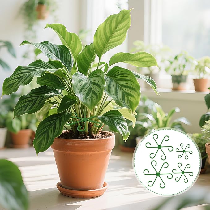 Augshy 20 Pcs Plant Stem Support Reusable Plant Growth Accessories,4 Sizes Climbing Houseplant Stem Holders for Flower Plants Indoor Outdoor Promote Prosperous Growth