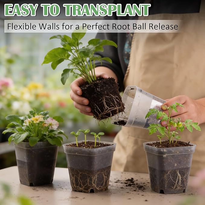 60 Pcs Clear Square Nursery Pots 4 Inch, Reusable Seedling Pots with Drainage Holes, Transparent Small Plant Potting Pot Containers for Seedlings Microgreens, Flowers, Indoor Gardening