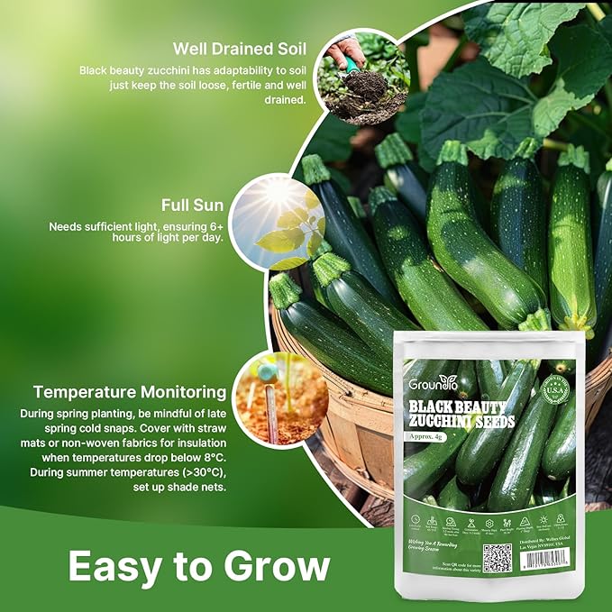 Groundio Black Beauty Zucchini Seeds for Planting, Approx 4g - Non-GMO Heirloom Seeds for Home Vegetable Garden