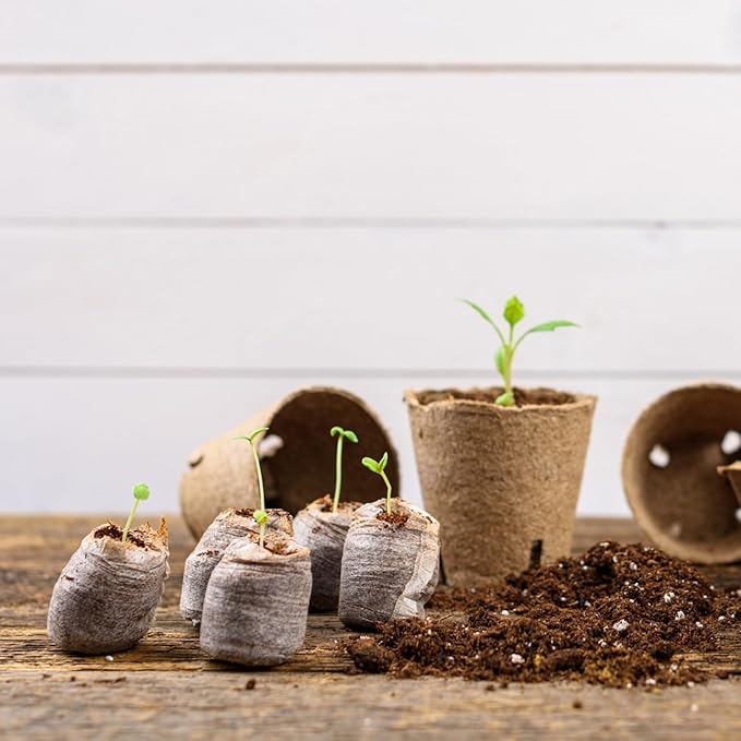 300 Pcs 50mm Seed Starter Peat Pellets Bulk for Compressed Seed Starting Pellets Seed Starter Pods Plugs Soil Peat Pods for Starting Seeds, Plant Transplant Grow Garden Flower Vegetables