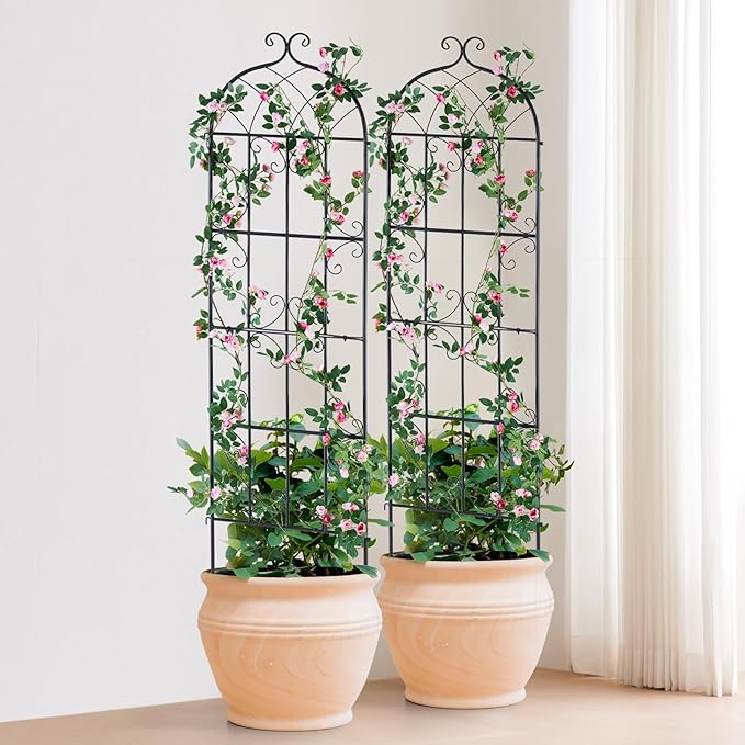 VEVOR 71 x 20 in, 2 Packs Rustproof Metal Garden Flower Trellis, Outdoor Climbing Rose & Cucumber Support, Decorative Clematis Trellis for Courtyards & Lawns