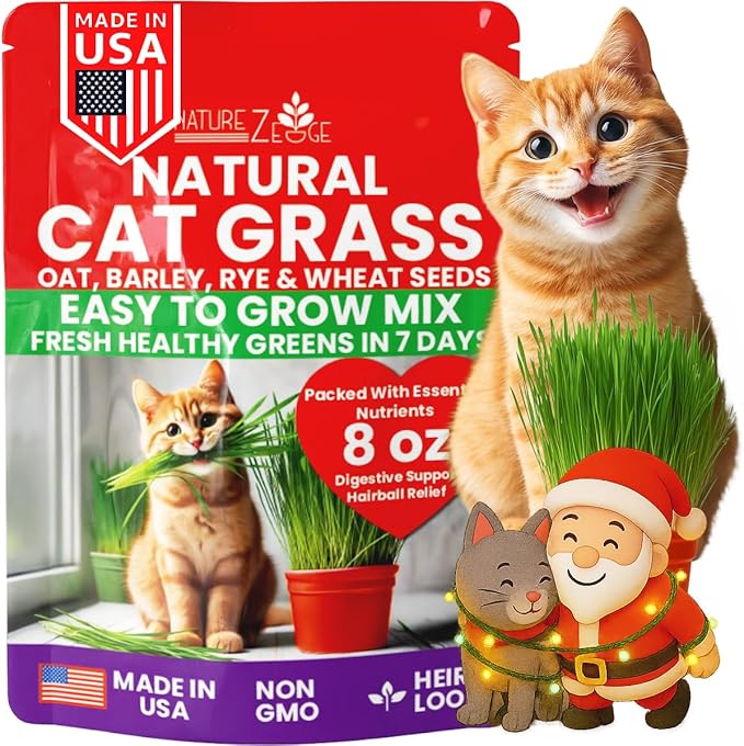 NatureZ Edge Premium Cat Grass Seeds for Indoor Cats, Non GMO - 1/2 lb Oat, Wheat, Barley & Rye Grass for Indoor Cats, Cat Plant, Kitty Lawn, Pet Grass, Hierba para Gatos, Made in USA