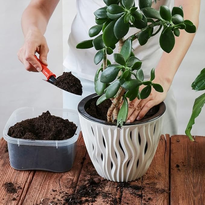 Back to the Roots 100% Organic Indoor Potting Mix (6 Quart), Promotes Healthy Houseplant Growth, Made in The USA