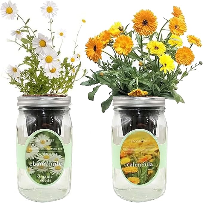 2-Pack Hydroponic Mason Jar Herb Garden Kit, Indoor Herb Garden Self-Watering Starter Kit, New Christmas Gift for Mom (Calendula,Chamomile)