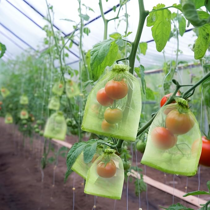 50 PCS 8X12 inches Fruit Protection Bags, Fruit Bags for Fruit Trees, Green Netting Fruit Cover Bags Drawstring Mesh Fruit Protectors Pest Barrier for Fruit Trees Veggies Garden