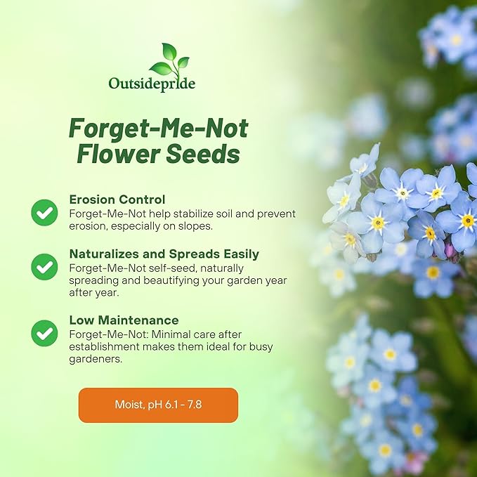 Outsidepride Blue Forget Me Not Seeds - 5000 Pcs Low Growing, Self-Sowing Perennial Flower Seeds for Planting Dense Blue Blooms & Upright Growth Habit for Meadows, Pollinator & Cottage Gardens