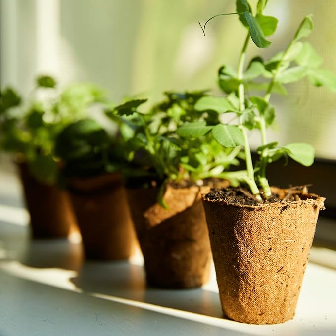 Back to The Roots Organic & Plantable Seed Starting Pots (24 CT)