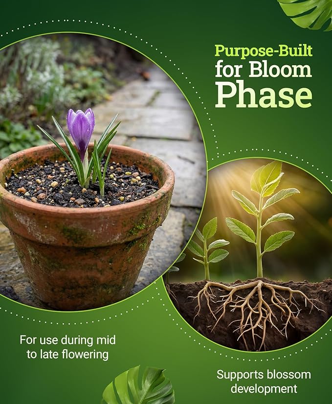 FoxFarm Beastie Bloomz Water Soluble Fertilizer for Mid-Flowering Stage, High Phosphorus Fertilizer 0-50-30, Supports Blossom Development, Easily Dilutes in Water, Ideal for Hydroponics & Soil, 1 lb