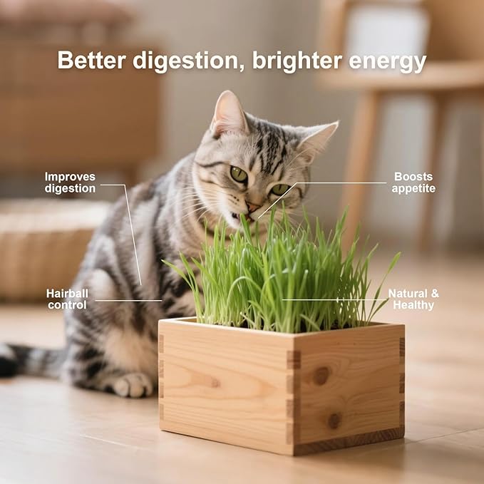 Cat Grass Kit for Indoor Cats, Complete with Rustic Wood Planter, Organic Wheat Grass Seed and Soil, Prevent Hairballs and Aid Digestion, Ideal Birthday Christmas Gift for Cat Lovers