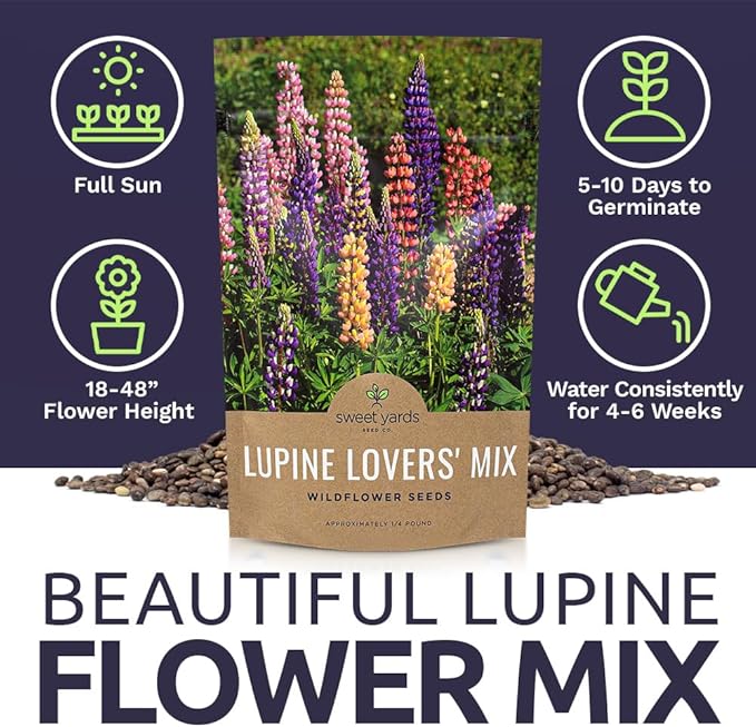 Bulk Lupine Mix Wildflower Seeds 1/4 Pound Bag - Over 4,500 Untreated Annual and Perennial Mixed Lupine Flower Seeds