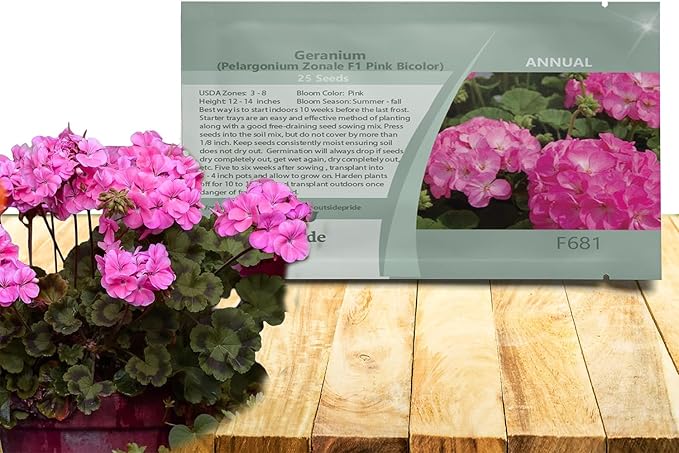 Outsidepride Pink Bicolor Geranium Seeds for Planting - 50 Pcs Annual, Heat & Drought Tolerant Flower Seeds with Green Foliage & Pink Blooms for Pots, Borders & Lush Summer Garden Displays