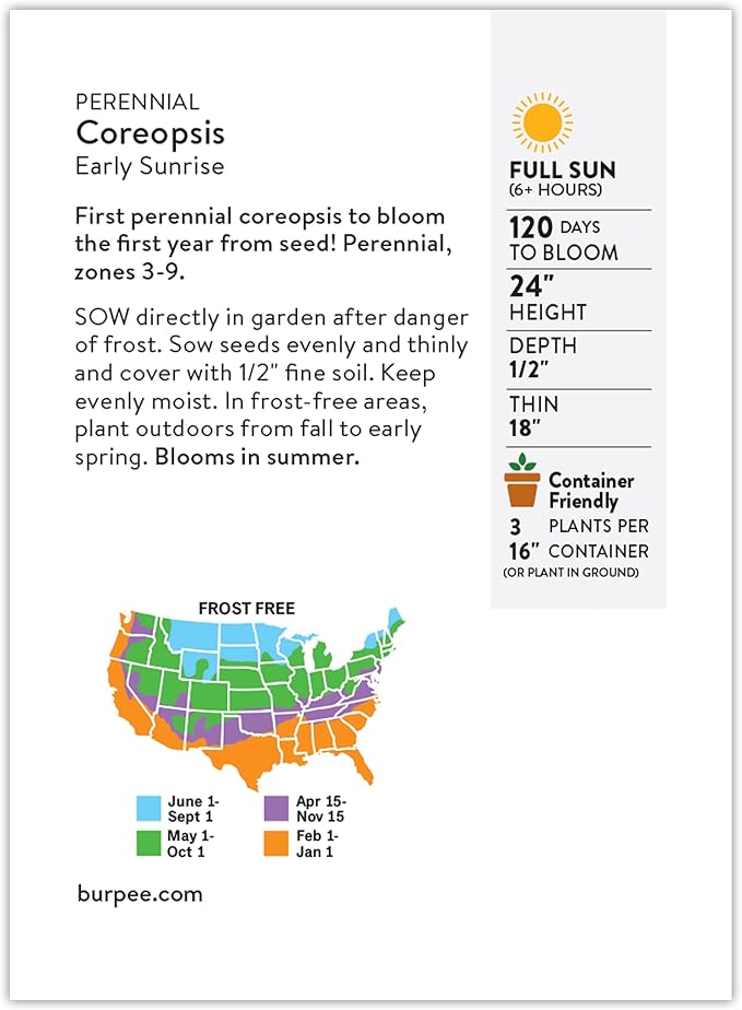 Burpee Early Sunrise Coreopsis Seeds - AAS Winner Perennial Flower