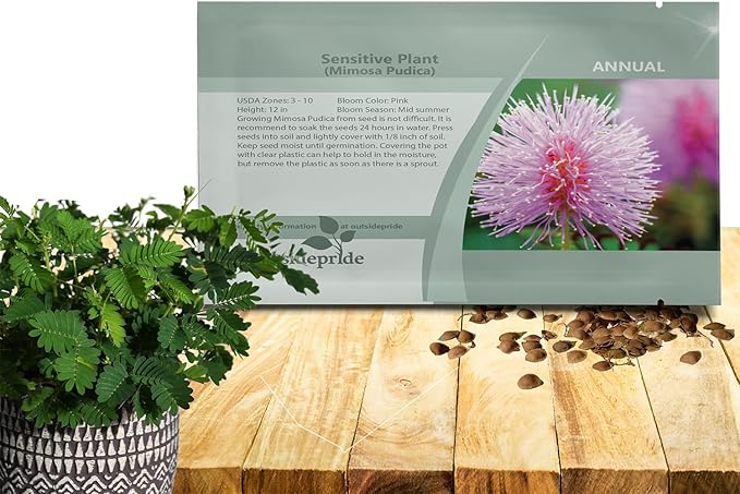 Outsidepride Mimosa Pudica Seeds - 2000 Pcs Annual, Easy to Grow, Sensitive Plant Seeds for Planting, Great for Educational Projects & Garden Displays