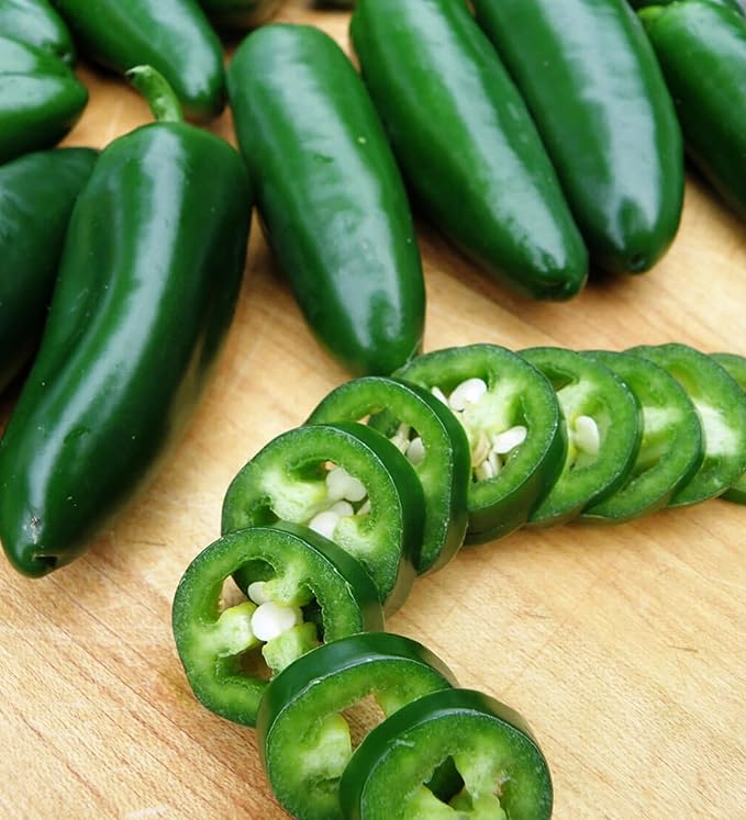 30+ Seeds Jalapeno Chili Pepper - Vegetable Green