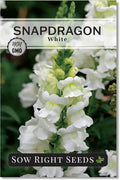 Sow Right Seeds - White Snapdragon Seeds for Planting - Non-GMO Heirloom Annual Variety - Beautiful Snap Dragons Flowers - Easy to Grow - Perfect for Gardens and Pots - Attract Pollinators (1)