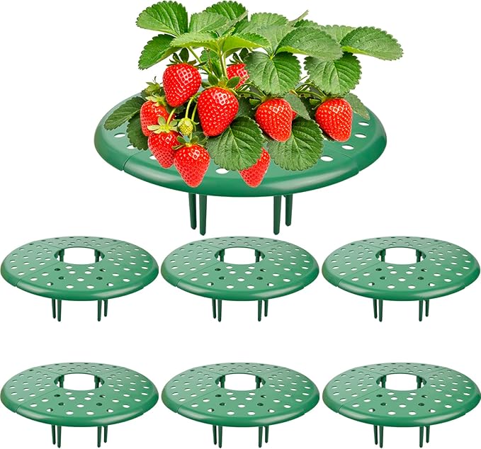 ChezMax 6 Pack Strawberry Plant Support - Strawberry Support Holder for Garden, Strawberrys Trellis Stand with 48 Legs, Planting Live Plants or Seeds, Plant Pot Stand Protection
