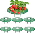 ChezMax 6 Pack Strawberry Plant Support - Strawberry Support Holder for Garden, Strawberrys Trellis Stand with 48 Legs, Planting Live Plants or Seeds, Plant Pot Stand Protection